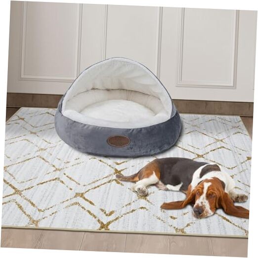 Washable 8x10 Area Rug for Living Room in White & Gold