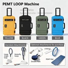 PEMF PMST LOOP Magnetic Therapy Machine for Horse Human Pain Rehabilitation