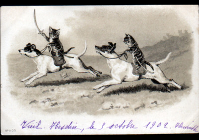MENSCHLICHE KATZE / ANGRIFF von KATZE-SAMOURAI auf HUND ausgebildet,,, 1902 illustriert