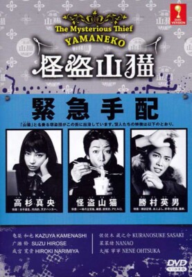 JAPANISCHES DRAMA ~ DVD DER MYSTERIÖSE DIEB YAMANEKO VOL. 1-10 END ENG SUB RE...