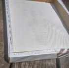 Foto 8 di 12