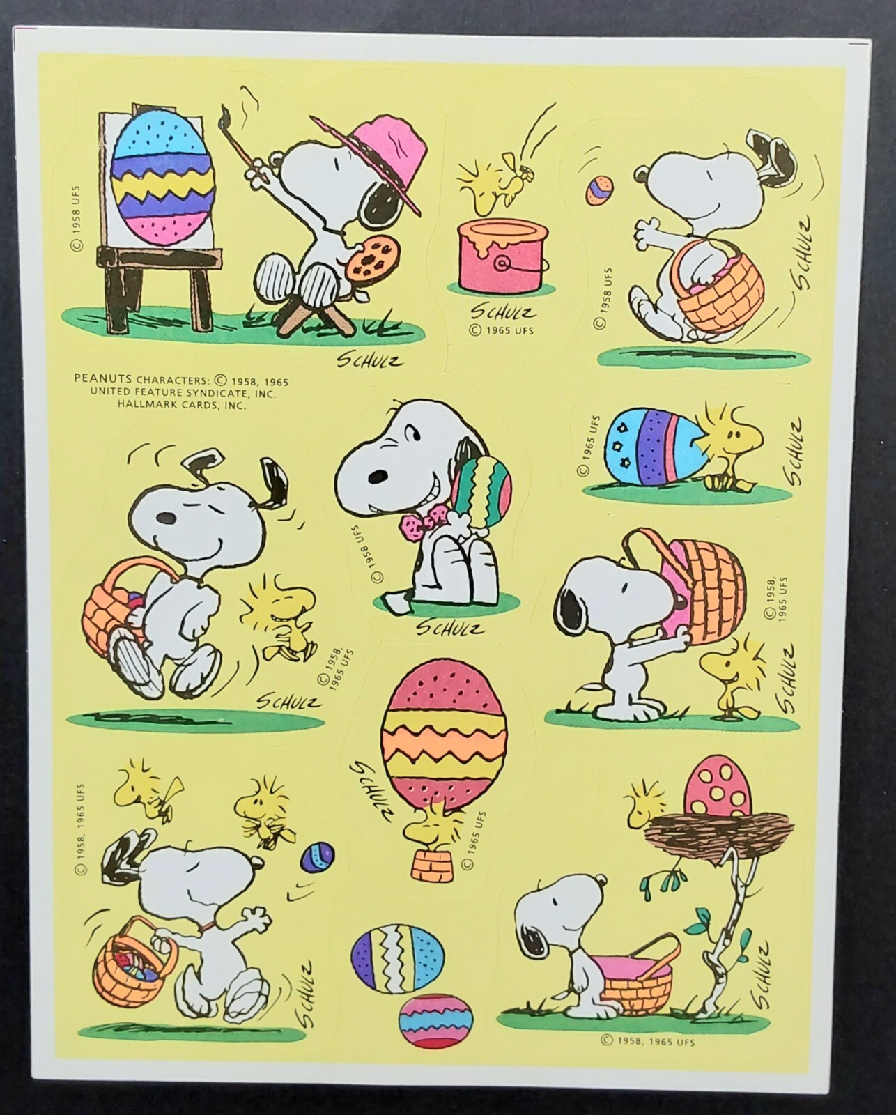 Foto 1 di 1