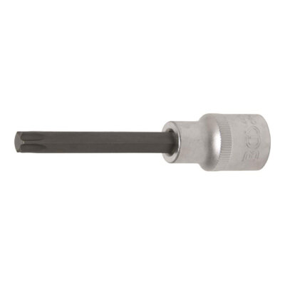 Spezial-Einsatz, T-Profil, 12,5 (1/2), o. B., 100 mm lang, T50