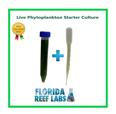 LIVE Phytoplankton Nannochloropsis Starter Culture makes 32oz Florida Reef Labs