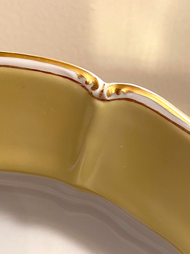Nymphenburg 2697 Rococo Porcelain YELLOW Rim 9.84" Scalloped Edge LUNCHEON PLATE - Picture 12 of 21