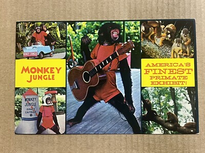 Postcard Miami FL Monkey Jungle Chimp Guitar Car Spaceship Chimpanzee Vintage