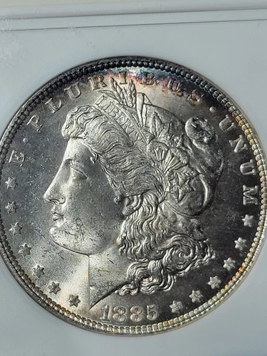 1885 $1 Morgan Dollar ANA Soapbox First Generation MS63 Toned #WR5758
