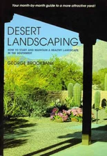 Desert Landscaping: How to Start and Maintain a Healthy Landscape in the  - GOOD