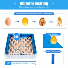 Fully Automatic 48 Egg Incubator Dual Power 1...