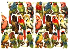 PRETTY POLLY, parrot birds, paper scraps Tuck Gigantic Relief 1507, smaller size