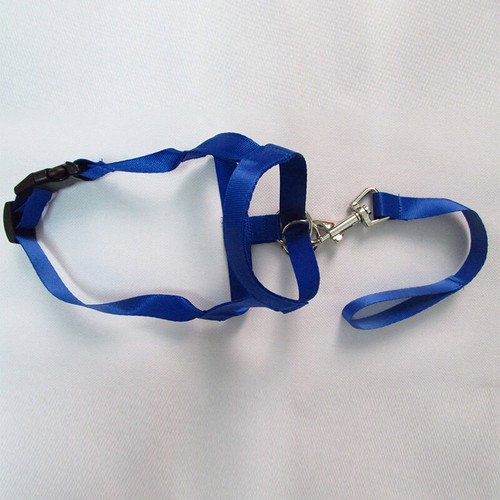 Gentle Halter Leash Gentle Leader Head Collar No Pull for Training Dog Muzzle US - Picture 15 of 23