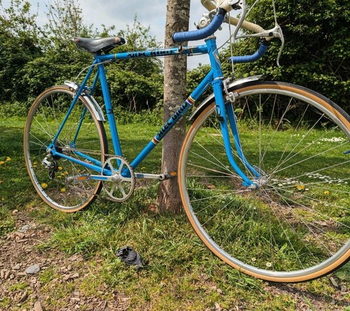 Vintage Retro Alec Bird Racing Bicycle 22.5inch Frame Stunning Bike Brooks - Picture 7 of 10