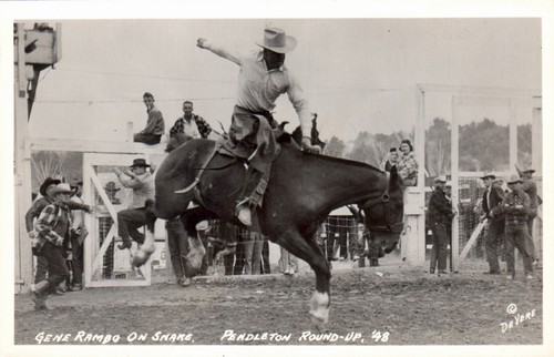 CARTE POSTALE RPPC PENDLETON ROUNDUP OREGON GENE RAMBO SUR SERPENT - Photo 1/2