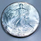 2004 1 oz American Silver Eagle .999 Silver Beautiful Uncirculated Coin