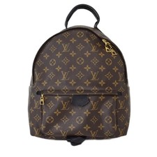 Louis Vuitton Palm Springs Backpack PM Monogram Brown