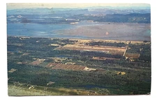 1963 Postcard CRANBERRY BOGS LONG BEACH WASHINGTON Agriculture A8