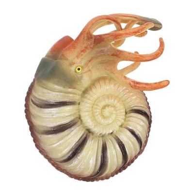 Meerestiere Spielzeug Lebensechtes Nautilus-modell Fischtank Schmücken
