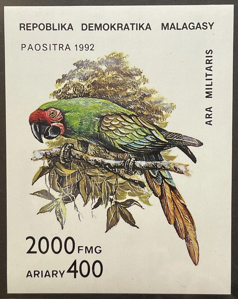 CONJUNTO DE SELOS DE PAPAGAIOS MADAGASCAR 7V + SS 1992 MNH PÁSSAROS FAUNA NATUREZA ARARARA - Imagem 3 de 3