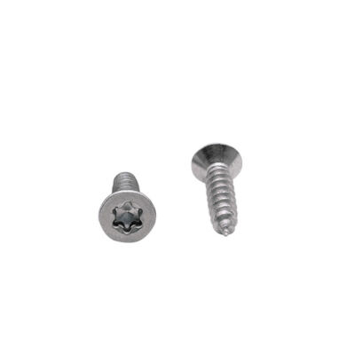 Torx Socket Countersunk Flat Head Self Tapping Screws 304 Stainless Steel M2-M6 
