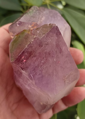 337g New Find Natural Amethyst Backbone Crystal Cluster Mineral Specimen - Picture 7 of 11
