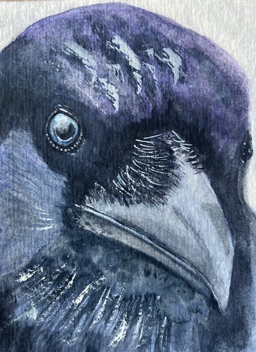 Original Watercolour Raven Painting ACEO