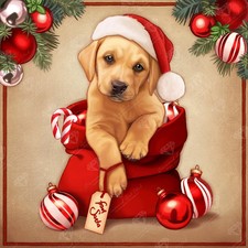 From Santa Maryline Cazenave Diamond Art Club Out of stock cute puppy candy cane