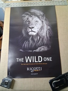 Rigotti Saxophone Reeds Promo Poster From NAMM Show '26, WILD One 16 3/4 X23 3/4