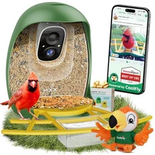  Smart Bird Feeder with Camera, AI Identify Birds & Auto Capture, Peacock Green