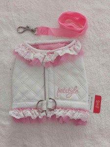 Harnais + laisse pour petit chien Taille L Neuf