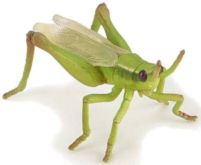 NEW PAPO 50268 Grasshopper Insect Model | eBay