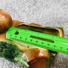 Foto 5 di 21