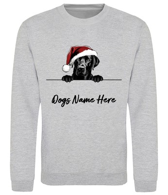Schwarzes LABRADOR RETRIEVER personalisiertes Weihnachten Hund Sweatshirt Erwachsene Kinder