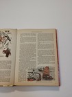 Foto 3 di 7