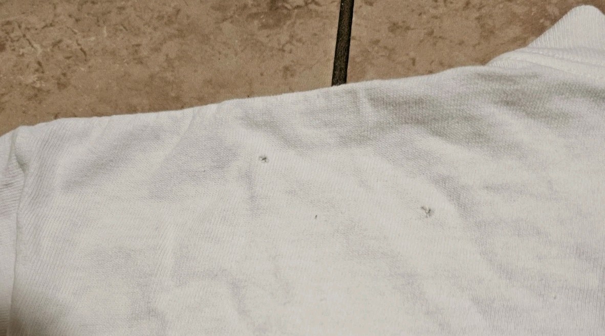 Picture 9 of 10