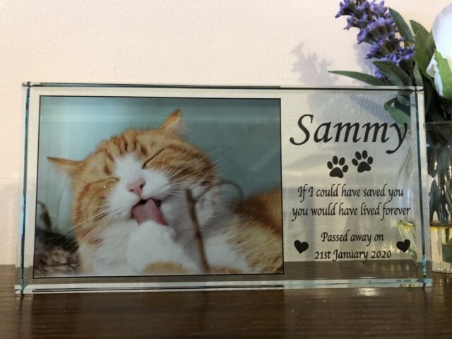 Large Photo Personalised Glass Block Pet Memorial - Cat Dog Loving Memory Verse