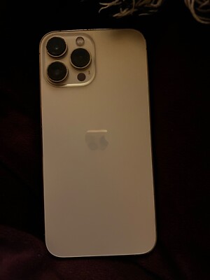 iPhone 13 Pro Max with tik tok app