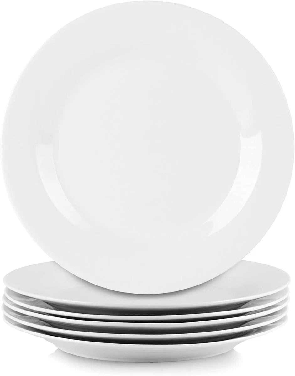 Strawberry street cheap dinner plates