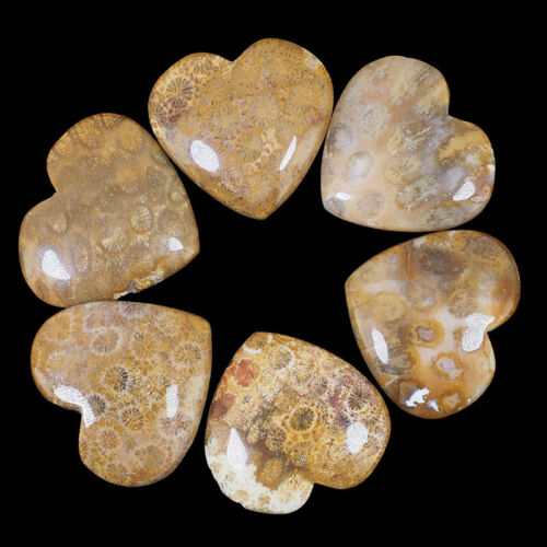 6 Pcs Natural Fossil Coral 28mm-29.5mm Magnificent Heart Shape Loose Gemstones - Photo 1/4