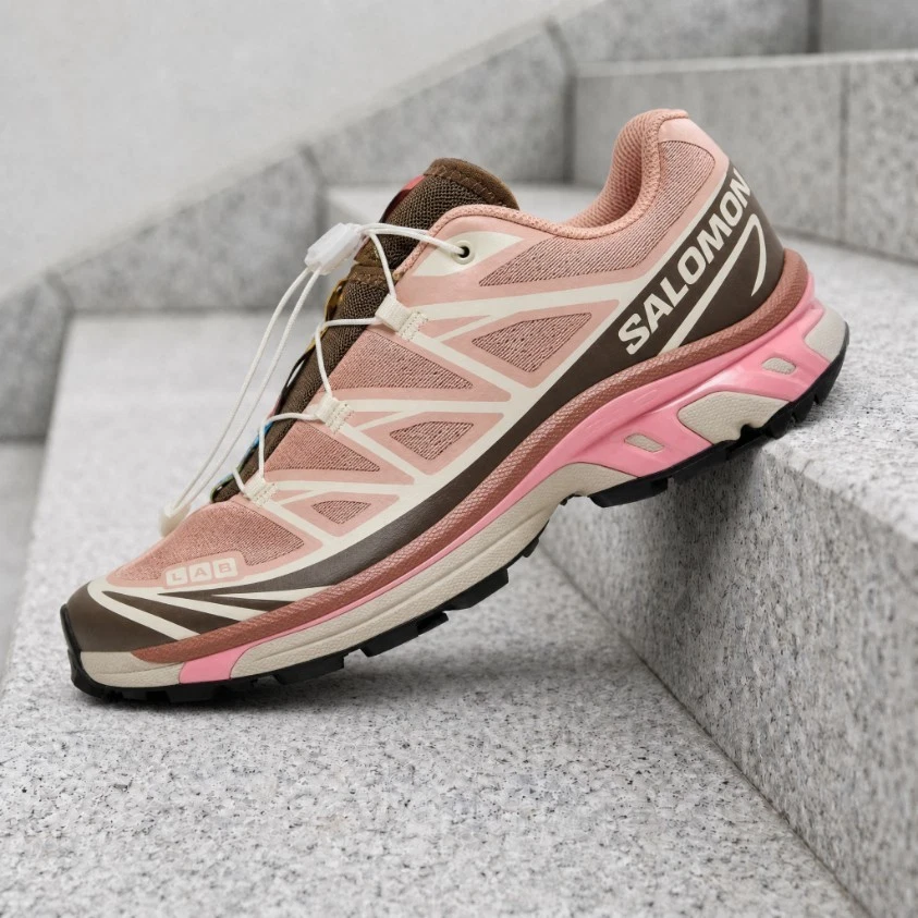 Salomon XT-6 Mahogany Rose Earth Brown for sale | eBay