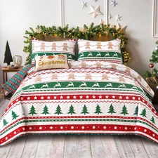 Queen Size Christmas Quilt Set with 2 Pillowcases, 3-Piece Bedding Set