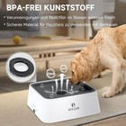 Bild 3 von 7
