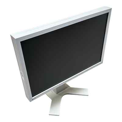 22'' EIZO FlexScan S2202W 1680x1050 weiß VGA DVI (Gehäuse vergilbt)