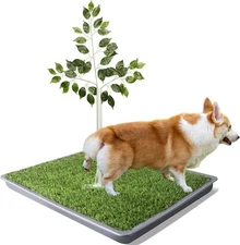 Dog Grass Pad with Tray - 2 Pack Replaceable Artificial Grass Portable Potty