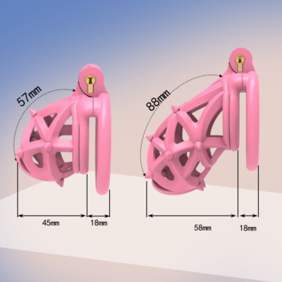 Newest 3D Print Male Chastity Device Resin Locking 4 Rings Chastity Cage