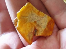 Natural real Baltic amber  5 g yellow stone charm gemstone gems