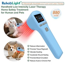 880mW Canine Red Light Therapy Feet Body Aleve Pain Relief 808nm 650nm Handheld