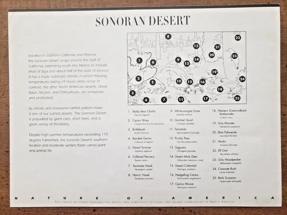 U.S. #3293 SONORAN DESERT MINT SELF-ADHESIVE PANE OF 10 - Image 2 of 2