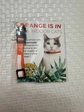 Cat Collar Name tag for indoor cat