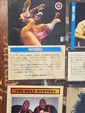 Las mejores ofertas en Tarjetas de colección de lucha libre