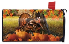 Harvest Turkey Fall Magnetic Thanksgiving Mailbox Cover Autumn Pumpkins Standard